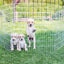 Rosewood Hexagon Play Pen - Ormskirk Pets