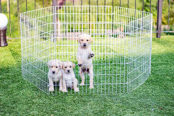 Rosewood Hexagon Play Pen - Ormskirk Pets