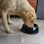 Rosewood Heavy Duty Anti-Scoff Melamine Slow Feeder - Large - Ormskirk Pets