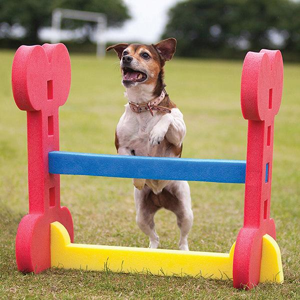 Rosewood Small Dog Hurdle - Ormskirk Pets