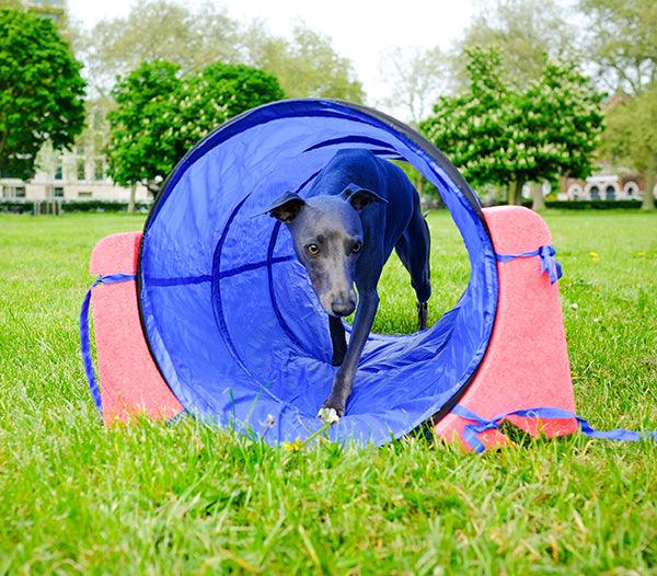 Rosewood Small Dog Tunnel - Ormskirk Pets