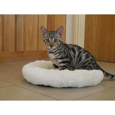 Rosewood Cream Plush Kitten Sleeper (14") - Ormskirk Pets