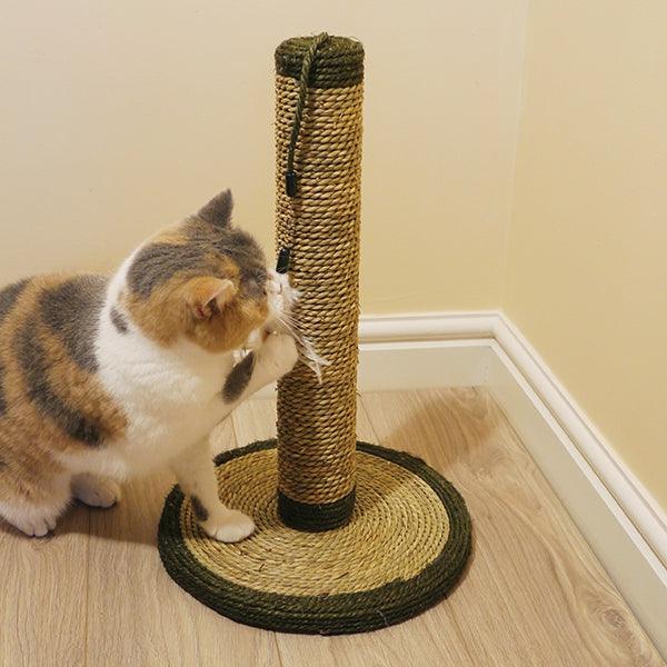 Rosewood Natural Scratchers Seagrass feather post - Ormskirk Pets