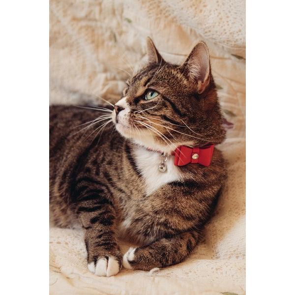 Rosewood Cat Collar Bow Tie Red - Ormskirk Pets