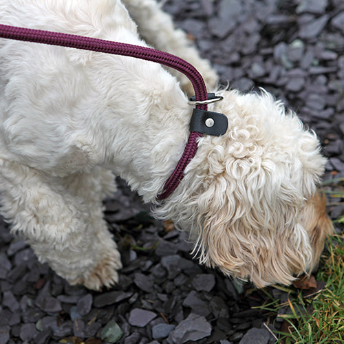 Rosewood Rope Twist Slip Lead  Brown 48"