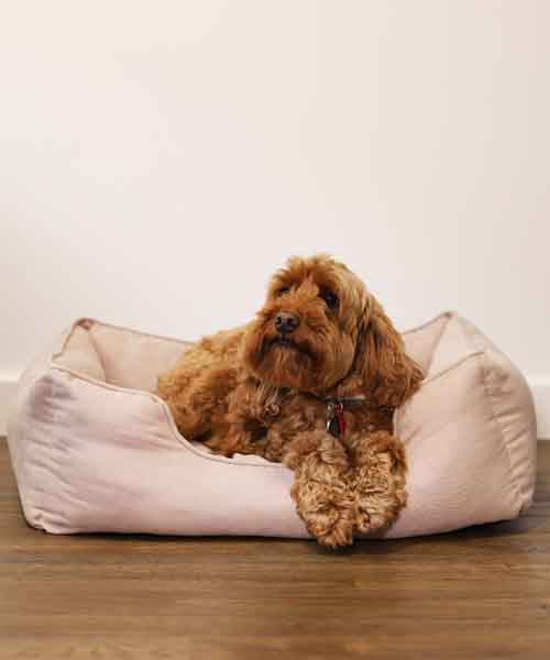 40 Winks Thin Twill Beige Dog Bed