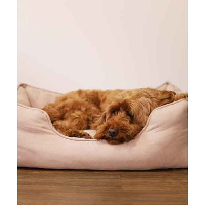 40 Winks Thin Twill Beige Dog Bed