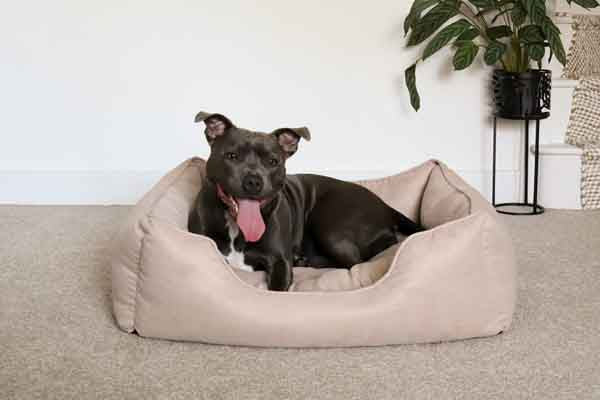 40 Winks Thin Twill Beige Dog Bed