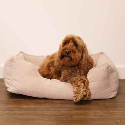 40 Winks Cord Square Bed Beige Dog Bed