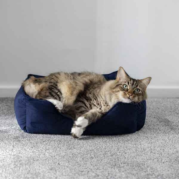 40 Winks  Velvet Navy Dog Bed