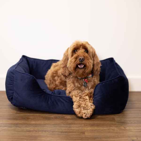 40 Winks  Velvet Navy Dog Bed