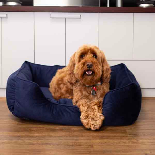 40 Winks  Velvet Navy Dog Bed