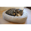 Rosewood Dotty Feline bed 56cm - Ormskirk Pets