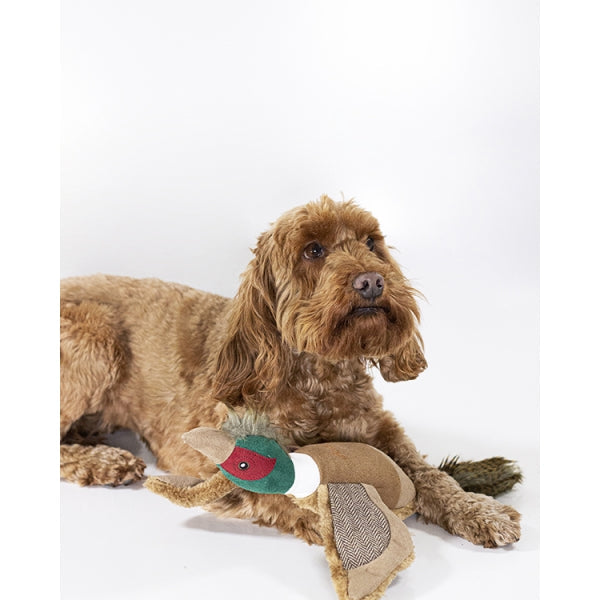 Joules Pheasant Dog Toy