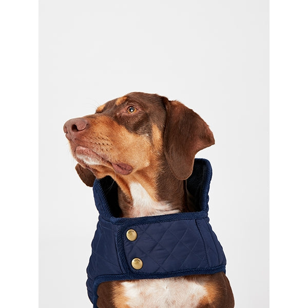 Joules Navy Quilted Coat