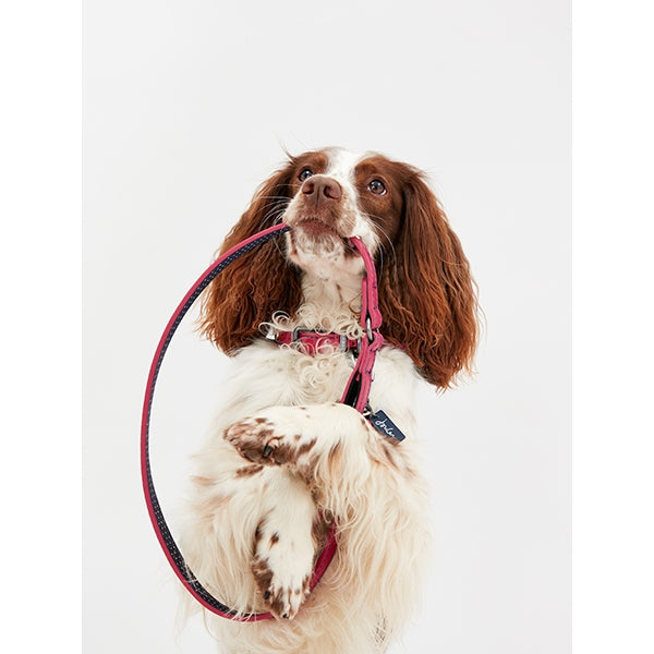 Joules Pink Leather Lead 108cm