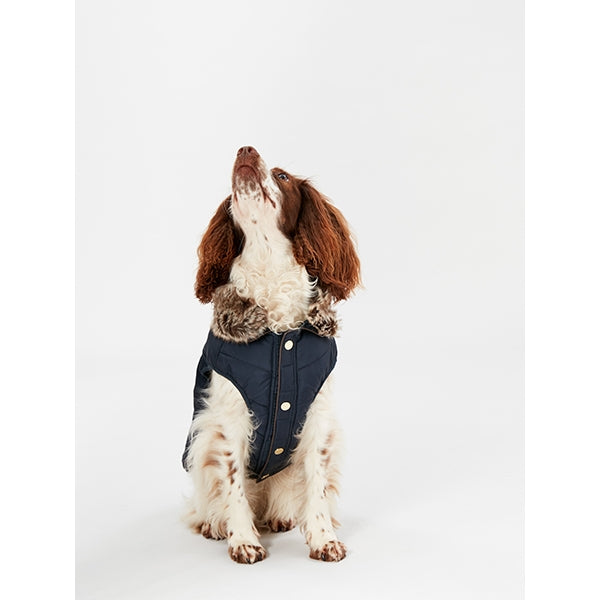 Joules Cherington Coat