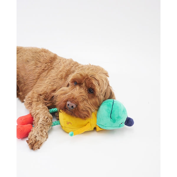 Joules Frog Dog Toy