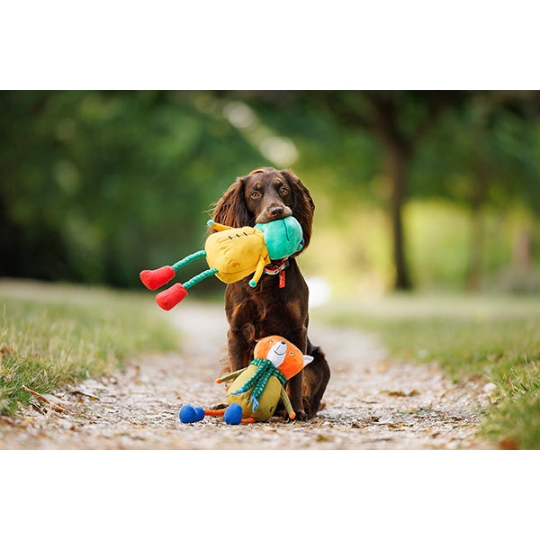 Joules Frog Dog Toy