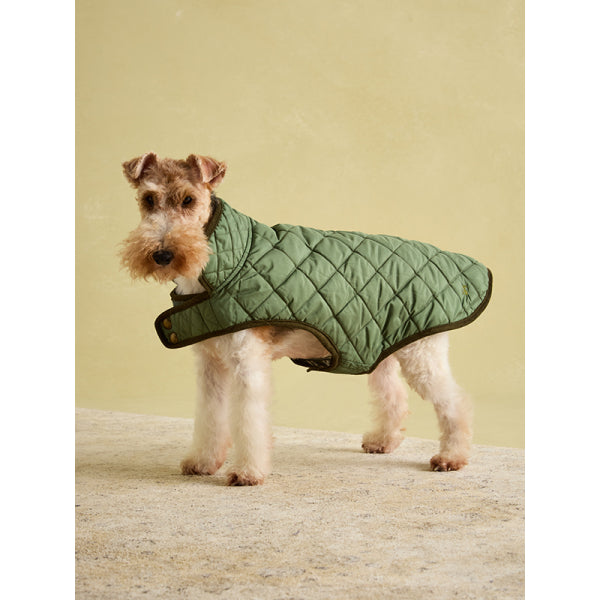 Joules Khaki Quilted Coat