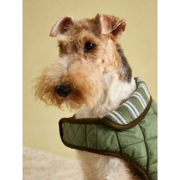 Joules Khaki Quilted Coat