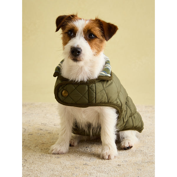 Joules Khaki Quilted Coat