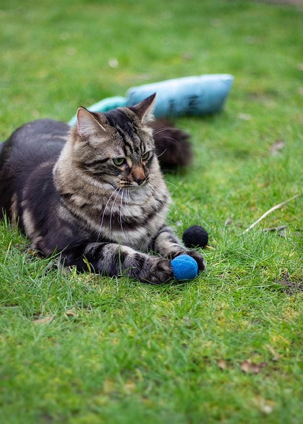 Rosewood Battersea Pounce Cat Balls (4pcs) - Ormskirk Pets