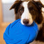 Rosewood Battersea Foam Frisbee - Ormskirk Pets