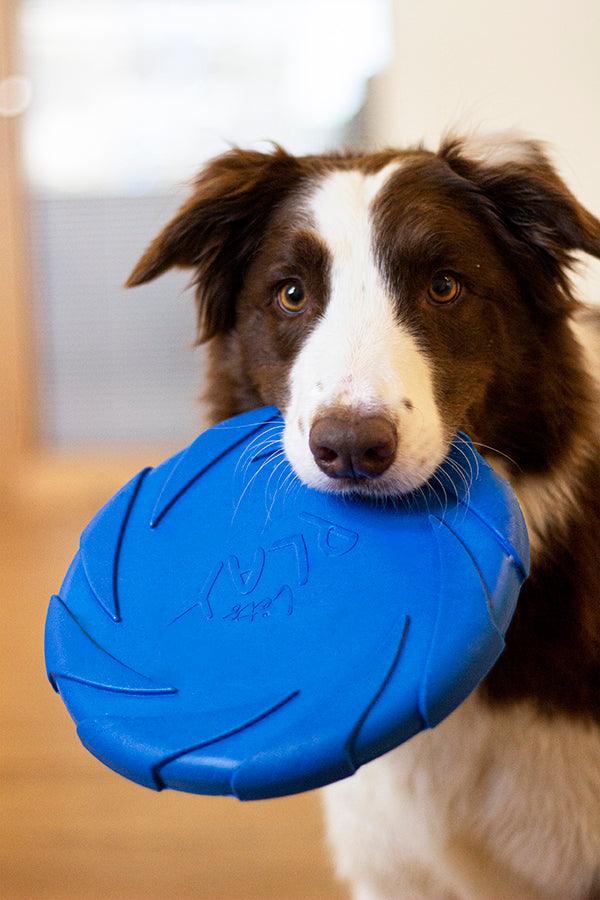 Rosewood Battersea Foam Frisbee - Ormskirk Pets