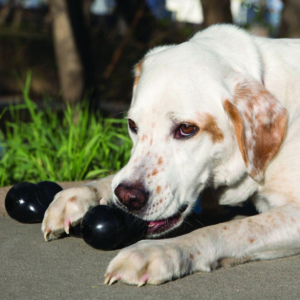 KONG Extreme Goodie Bone - Ormskirk Pets