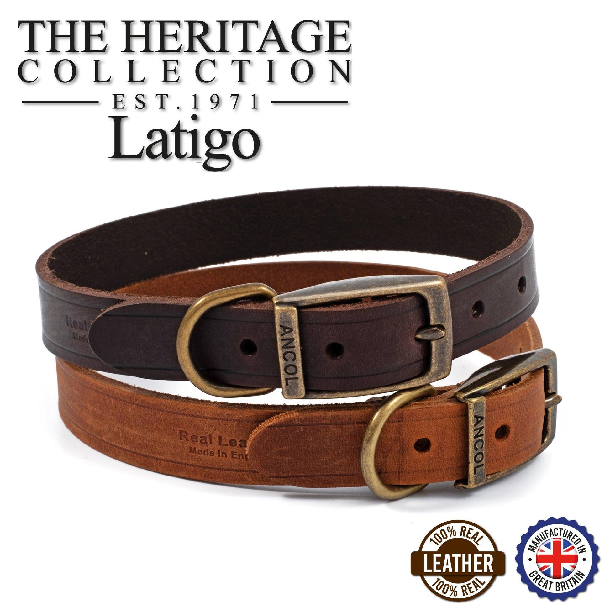 Ancol Latigo Leather Collar Chestnut 20-26cm Size 1 - Ormskirk Pets