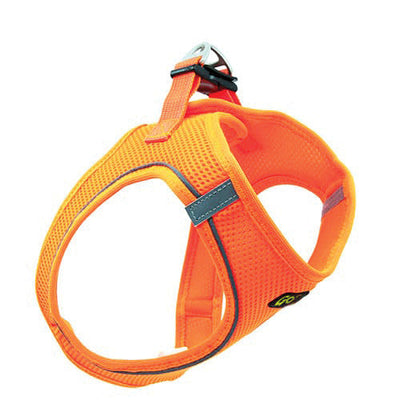 Go Walk Harness Orange