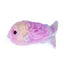 Rosewood Under the Sea Twin Rainbow Fish Cat Toy - Ormskirk Pets