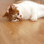 Rosewood Laser Cat Toy - Ormskirk Pets