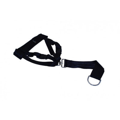 PetGear Dog Harness