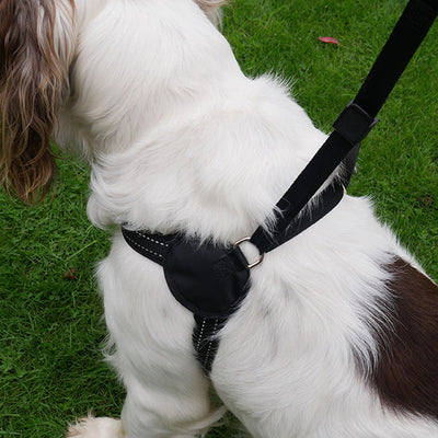 Rosewood Reflective Easy Fit Harnesses