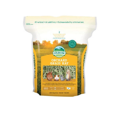 Oxbow Orchard Grass 425g - Ormskirk Pets