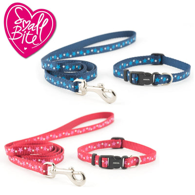 Ancol Small Bite Stars Collar Lead Set Red