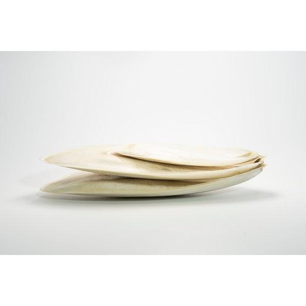 Cuttlefish Bone 3Inch to 12Inch 1kg - Ormskirk Pets