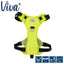 Ancol Viva Travel Harness Lime