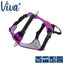 Ancol Viva Travel Harness Purple