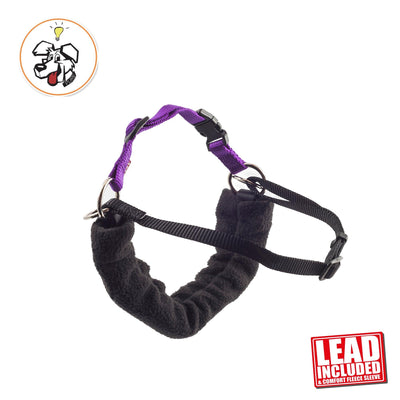 Ancol PDL Harness and Lead S 44-54cm