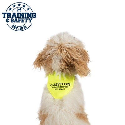 Ancol Warning Bandana Yellow S/M 20cm - Ormskirk Pets