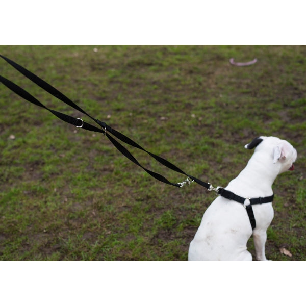 Rosewood Coastal Training  Leads Multi Function Nylon Dog Lead