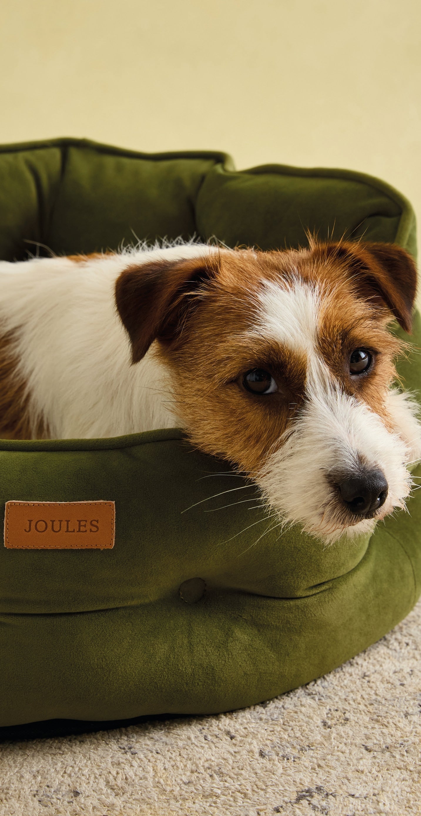 Joules Chesterfield Pet Bed Khaki