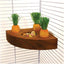 Rosewood Carrot Toy 'n' Treat Holder - Ormskirk Pets