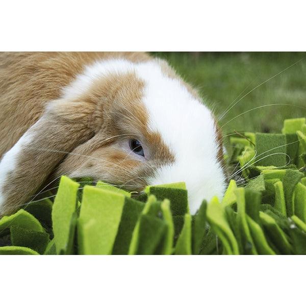 Rosewood Snuffle Forage Mat for Small Animals - Ormskirk Pets