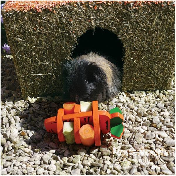 Rosewood Woodies 3-D Carrot - Ormskirk Pets