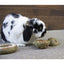 Rosewood Treat 'n' Gnaw Bunny Buns (2pc) - Ormskirk Pets