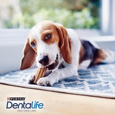 Dentalife Small Dog Dental Chew 7 Stick 115G (7X16G) - Ormskirk Pets